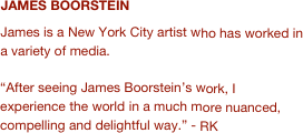 JAMES BOORSTEIN 
James is a New York City artist who has worked in a variety of media. 

“After seeing James Boorstein’s work, I experience the world in a much more nuanced, compelling and delightful way.” - RK
